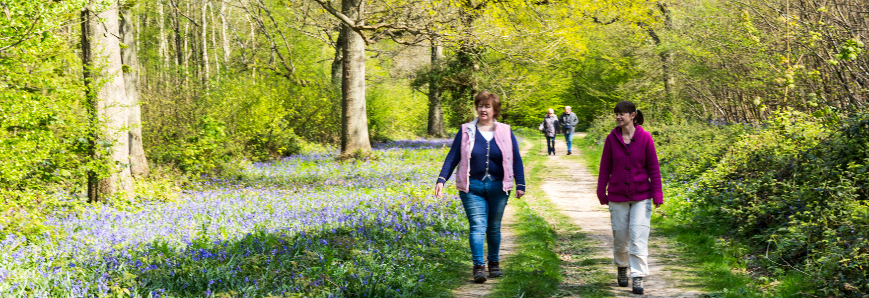 Walking through the bluebells at Hucking Estate